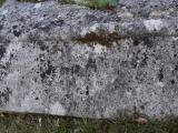 image of grave number 938264